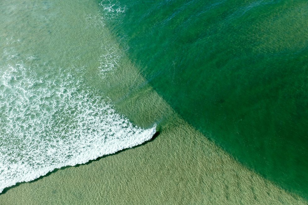 Wild Coast Wave by Zack Seckler