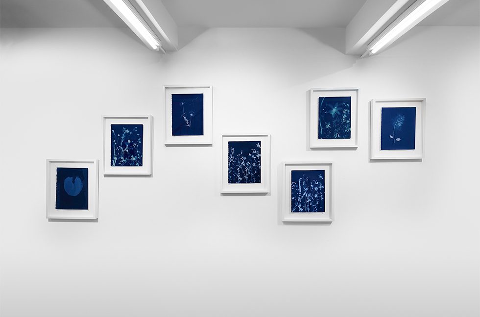 Pipo Nguyen-duy, AnOther-Expedition Installation 4 by 