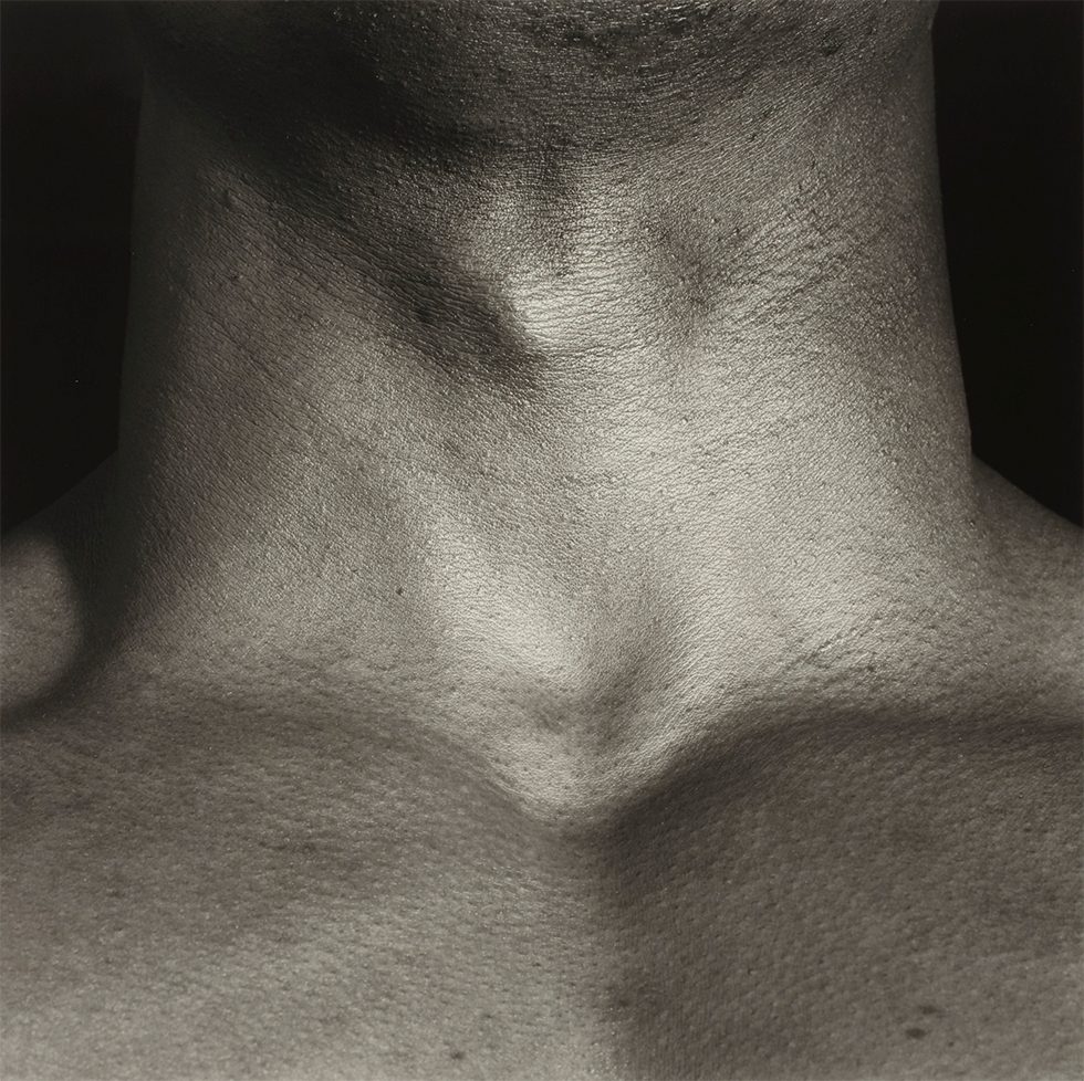 Neck/Livingston by Robert Mapplethorpe