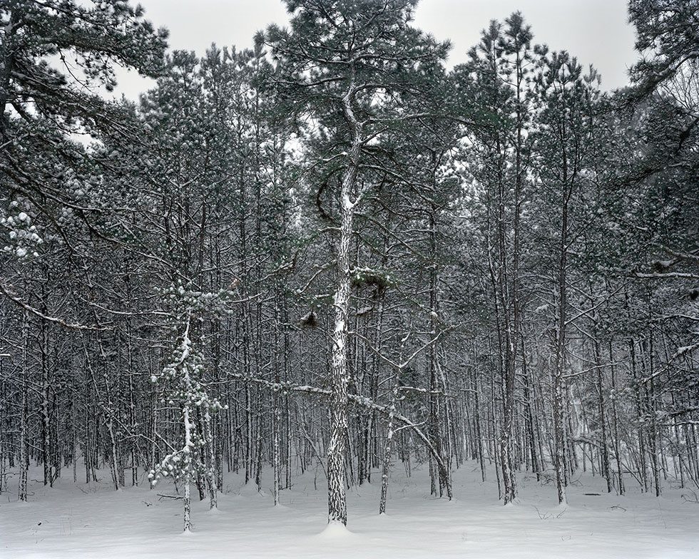 Untitled (Backyard, snow covered) by Nicole Schwartz