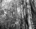 Margaret Kristensen, Point Reyes
