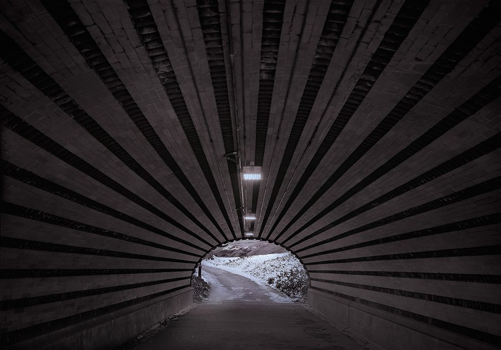 Playmates Arch #2 by Michael Massaia
