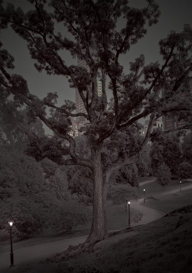 Click for sizes / editions / prices. Michael Massaia, First Light