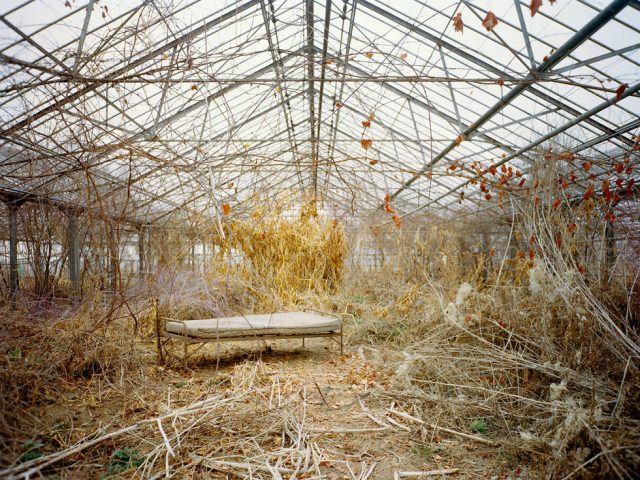 Pipo Nguyen-duy, Untitled (Autumn Bed, 01.2004)