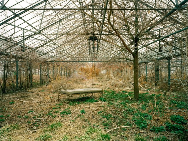 Pipo Nguyen-duy, Untitled (Bed, 03.2004)