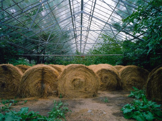 Pipo Nguyen-duy, Untitled (Hay, 02.2006)