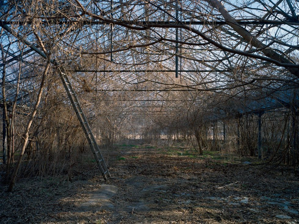 Untitled (Ladder, 01.2008) by Pipo Nguyen-duy