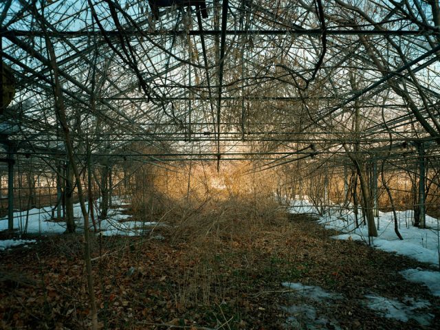 Pipo Nguyen-duy, Untitled (Shade, 01.2004)