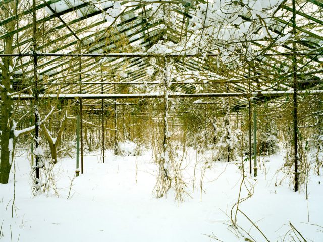 Pipo Nguyen-duy, Untitled (Snow, 03.2010)