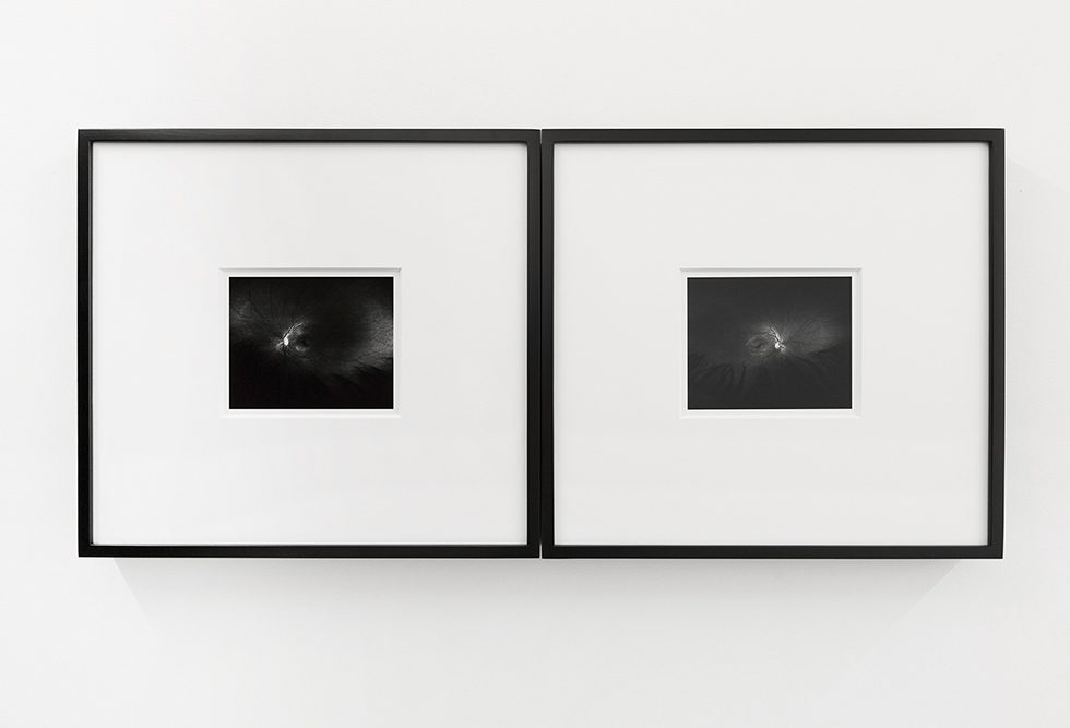 Installation Image VIII by Rafael Soldi