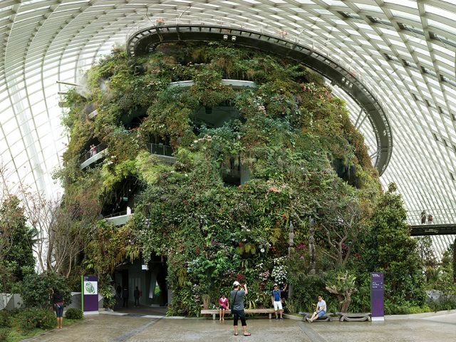 Olaf Otto Becker, Cloud Forest, Gardens by the Bay, Singapore, 10/2013