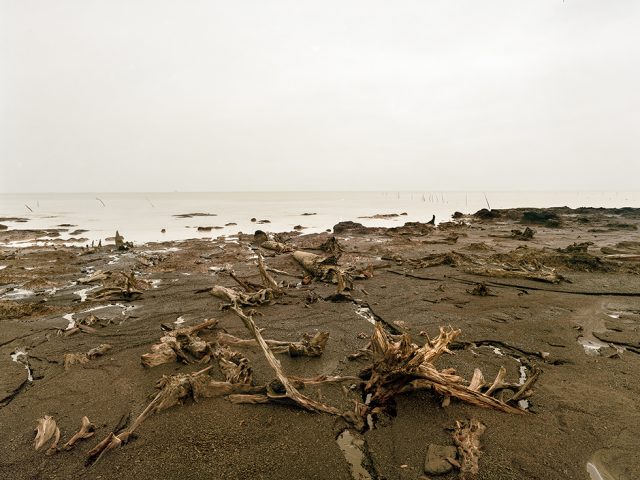 Erosion After Logging of Mangroves 03, Riau Area, Rangsang Island, Sumatra, 11/2