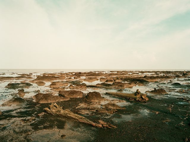 Erosion After Logging of Mangroves 04, Riau Area, Rangsang Island, Sumatra, 11/2