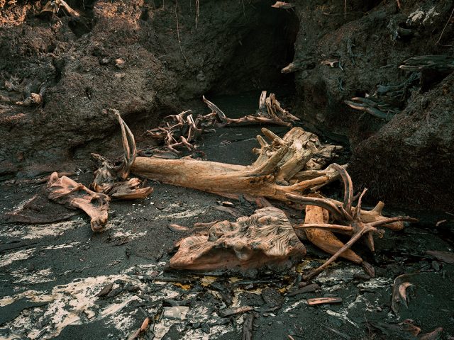 Erosion After Logging of Mangroves 05, Riau Area, Rangsang Island, Sumatra, 11/2