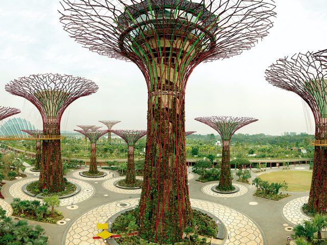 Supertree Grove, Gardens by the Bay, Singapore, 10/2012