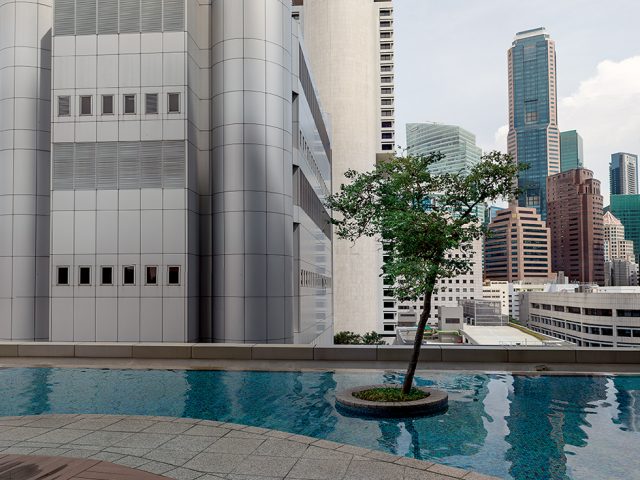 Olaf Otto Becker, Tree on a Rooftop Garden, Singapore, 11/2013