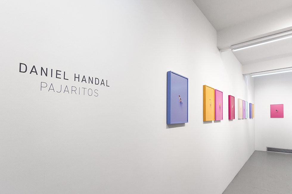 This is a photograph of Daniel Handal’s photographs on display in an exhibition at CLAMP in New York City.