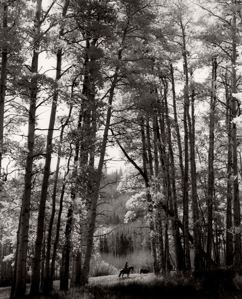 Michael Crouser, Cathedral by 