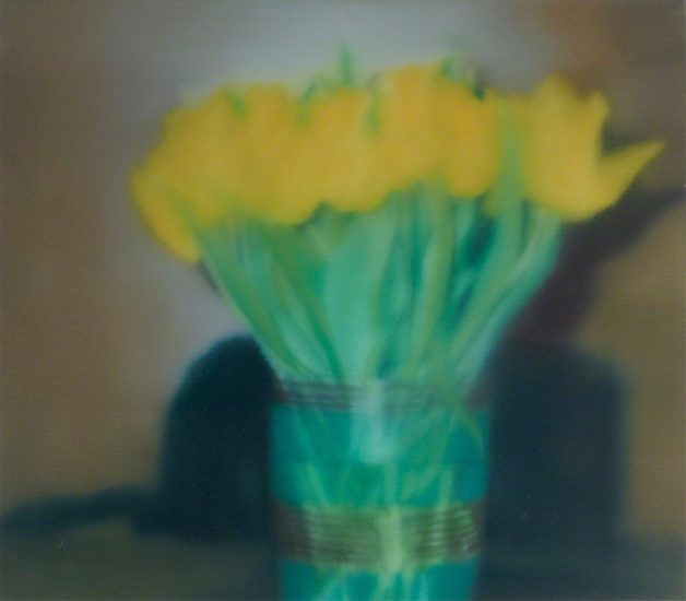 Gerhard Richter, Tulips (P17)