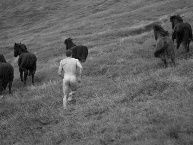 Nick Turner, Untitled (Running with Horses)