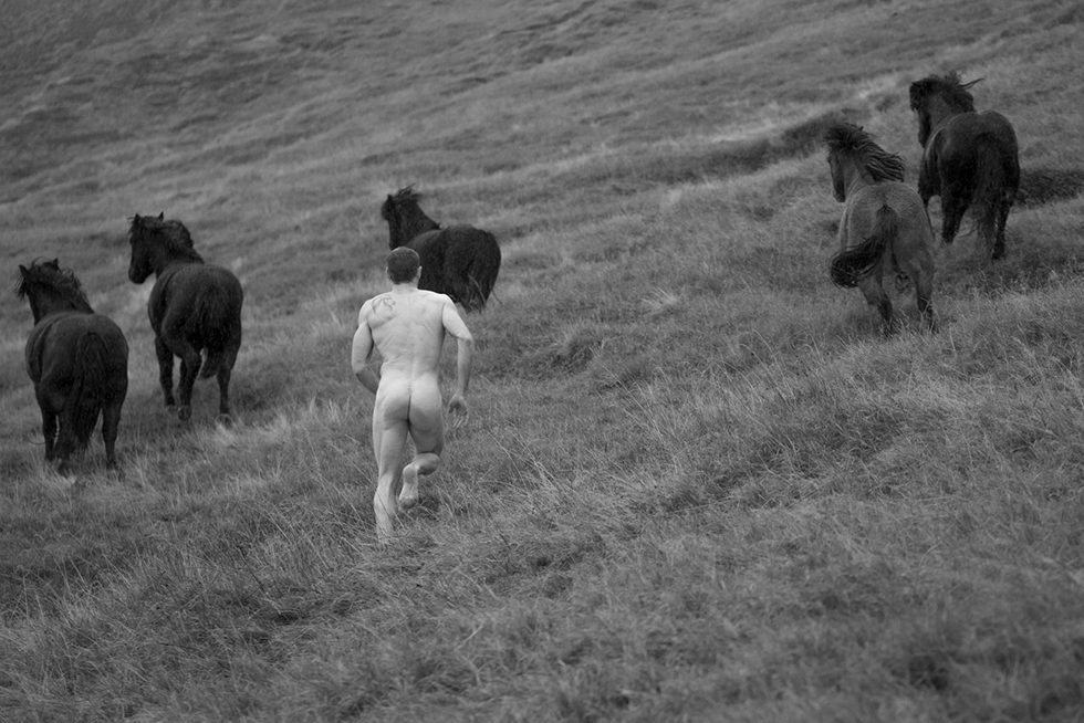 Untitled (Running with Horses) by Nick Turner