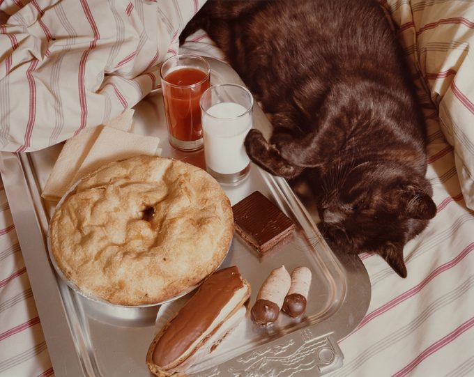 Jo Ann Callis, Untitled (Cat Nap)