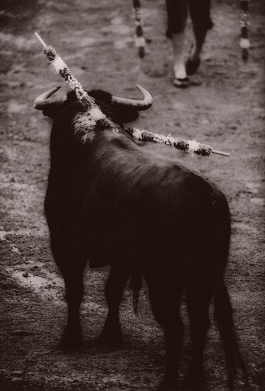 Click for sizes / editions / prices. Michael Crouser, Banderillero Approaching