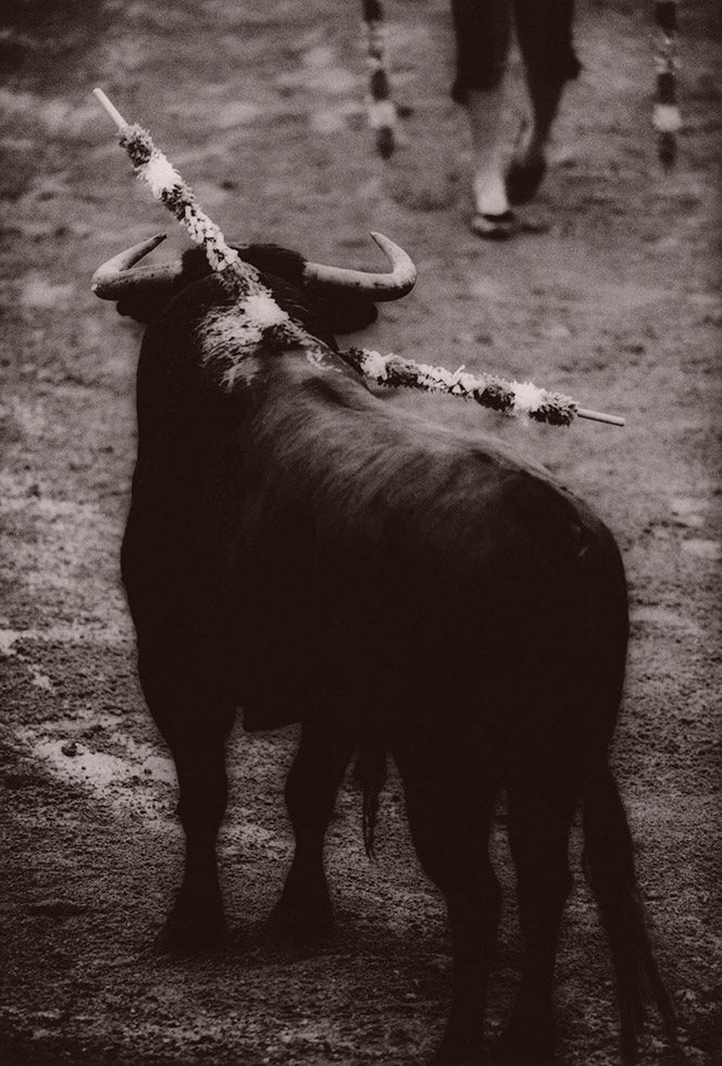 Banderillero Approaching by Michael Crouser