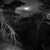 The Space Where Fiction and Reality Intersect
