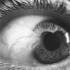 All You Touch and All You See is All Your Life Will Ever Be