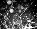 The Moon is Locked Away and the Land is Banked in Frozen Snow