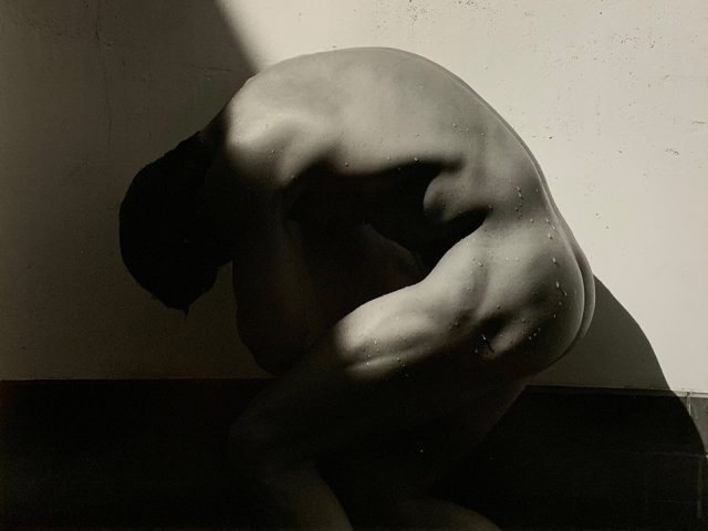 Herb Ritts, Curved Torso, Hollywood