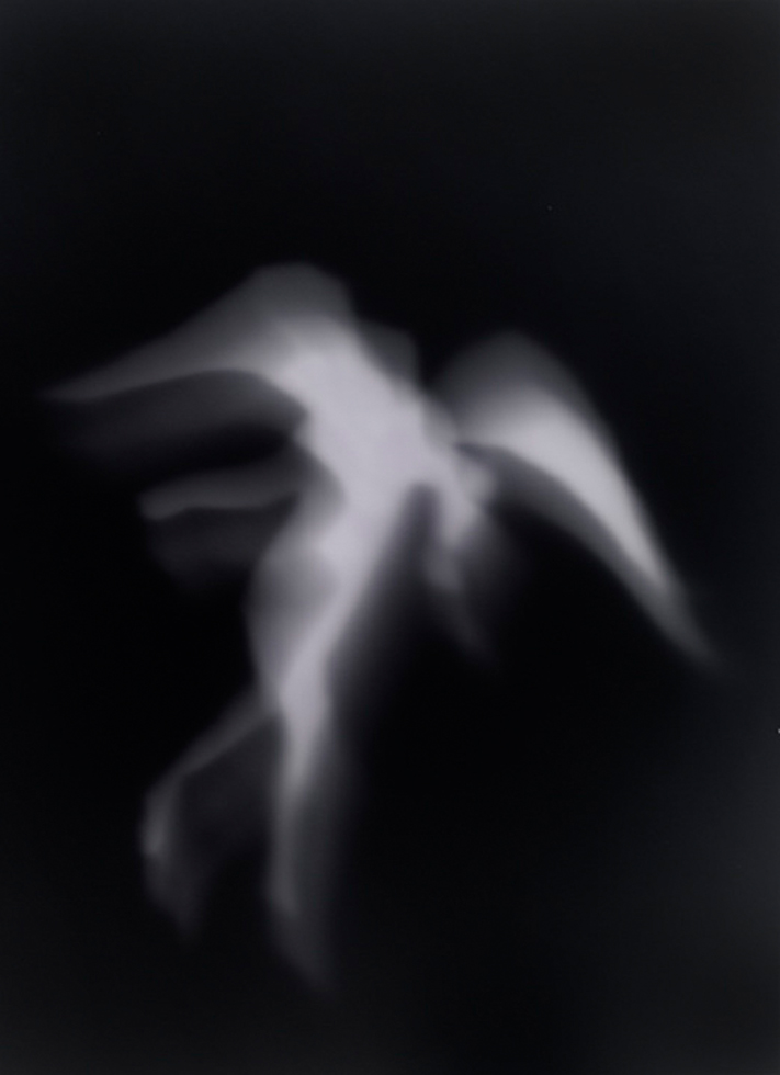 A black background with a winged figure rendered in transparent ghostly white.