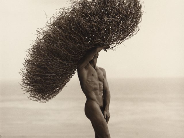 Herb Ritts, Male Nude with Tumbleweed, Paradise Cove