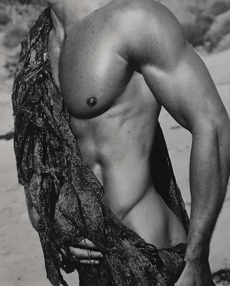 Christian Thompson, “Torso with Seaweed” by Christian Thompson