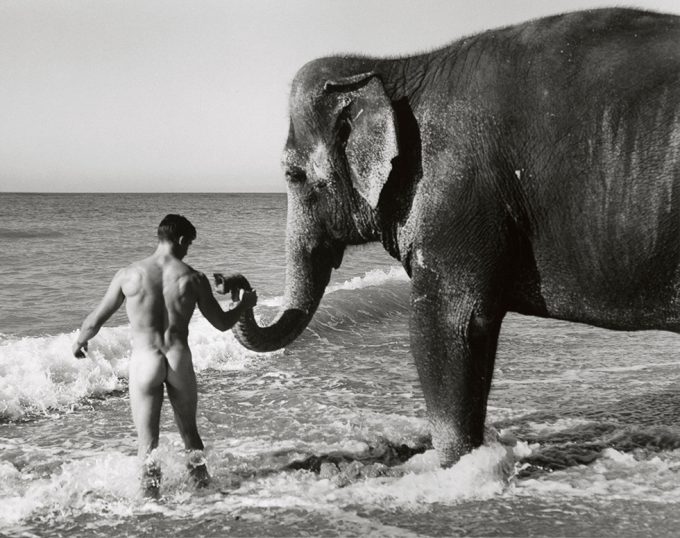 Black and white photograph of the back of a man standing next to an elephant in the ocean, he is holding it's trunk