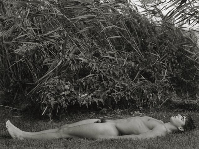 Black and white photograph of a man lying naked in the grass with large marsh plants blowing in the wind above you