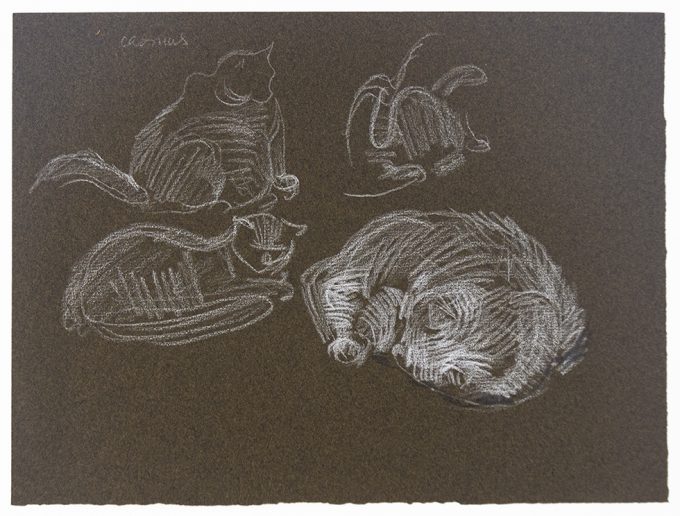 Paul Cadmus, Studies of a Cat