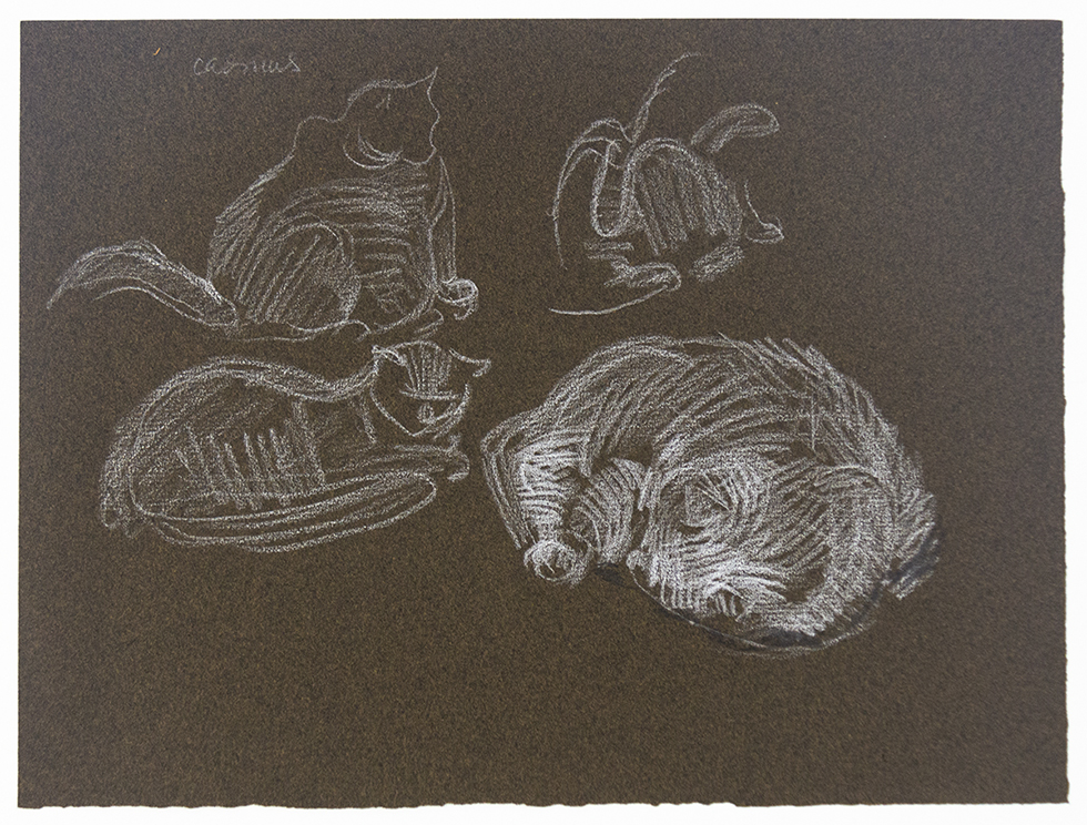 Studies of a Cat by Paul Cadmus