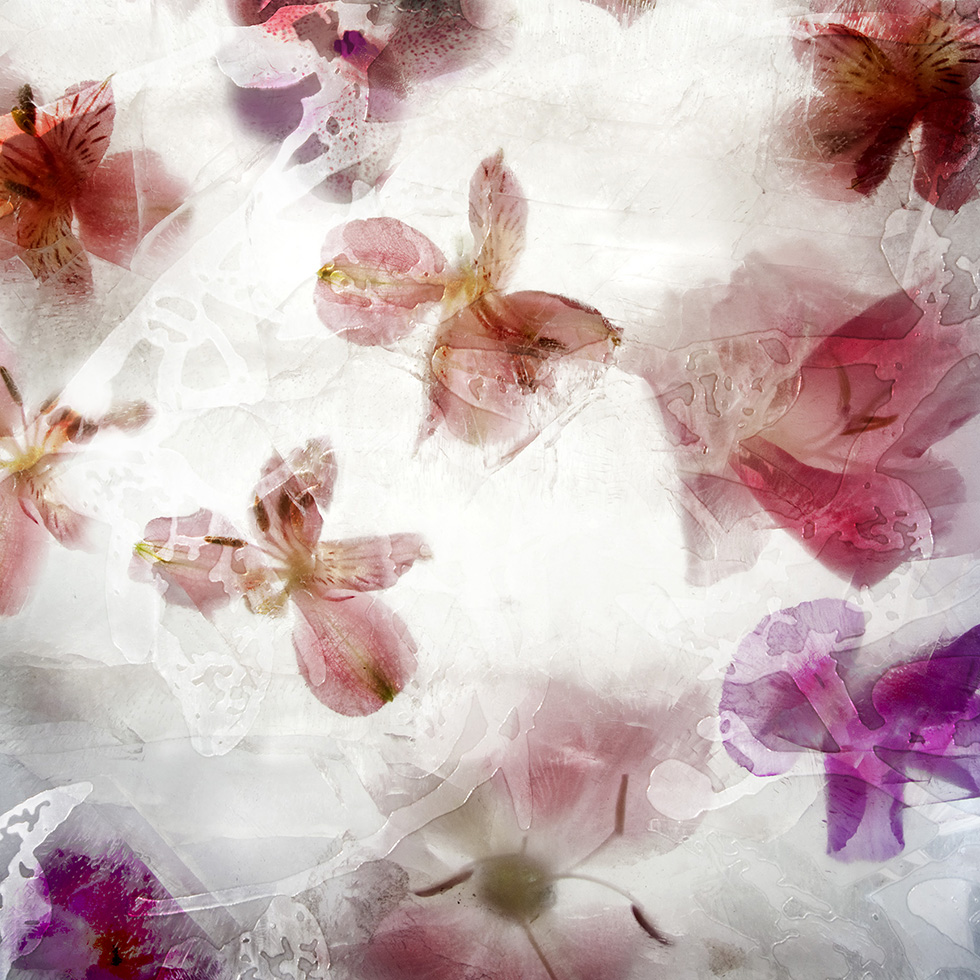 Fleurice by 