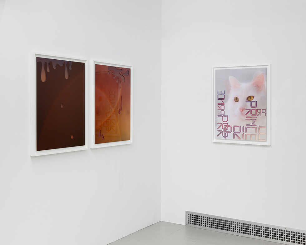 Installation Image 10—Photo by Daniel Terna (@jpegs_and_tiffs) by Joseph Desler Costa