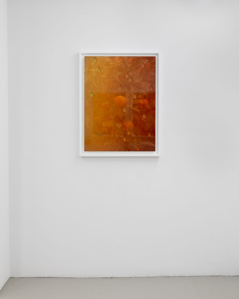 Installation Image 17—Photo by Daniel Terna (@jpegs_and_tiffs) by Joseph Desler Costa