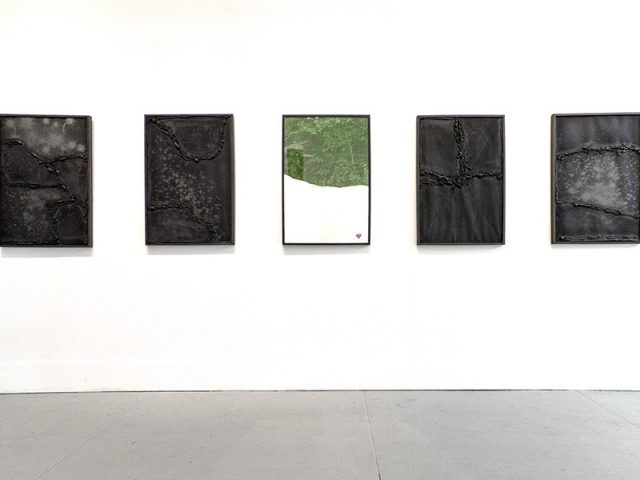 Steffanie Padilla, Installation View