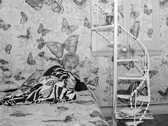 Meryl Meisler, Butterfly Bedroom Telephone, Sassy 70s