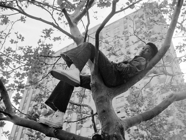 Meryl Meisler, Reclining in tree by Goddard, Riverside Community Center, Sassy 7