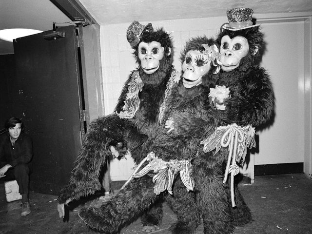 Meryl Meisler, Three Clowns in Monkey Suits at the Ringling Brothers Barnum and 