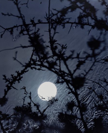 Click for sizes / editions / prices. Susan Derges, Full Moon – Black Thorn