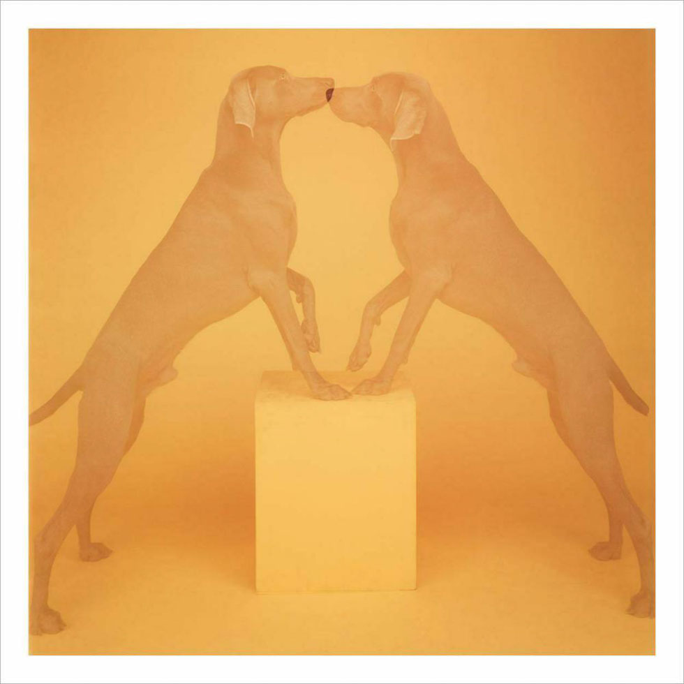 Touching by William Wegman