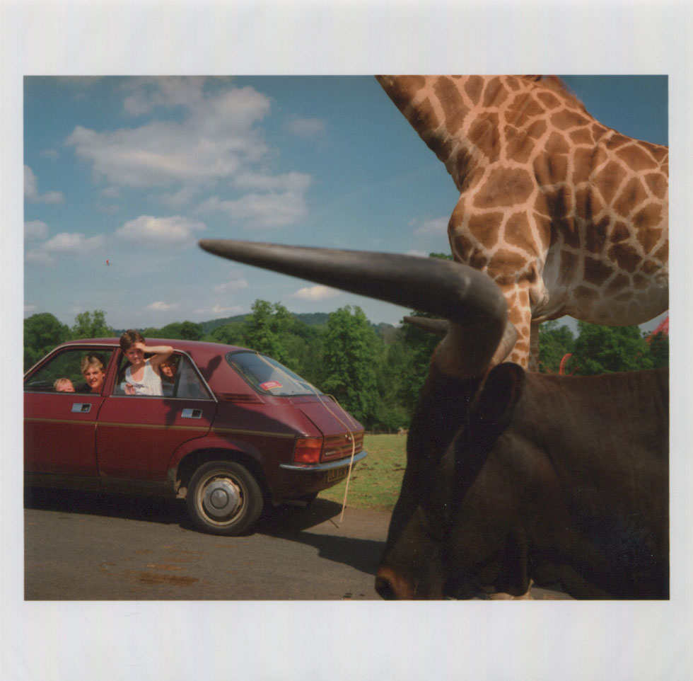 Martin Parr