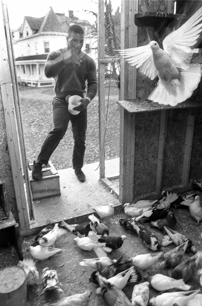 Mike Tyson watches his pigeons. Catskill, NY 1985? by 